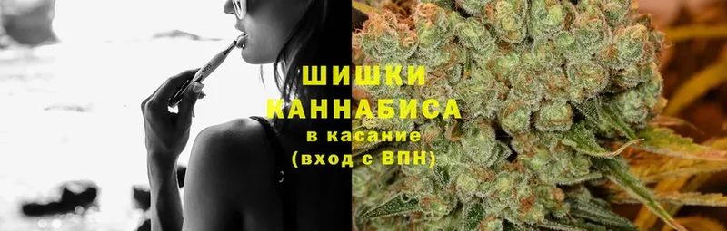 это телеграм  что такое наркотик  мега ссылки  Кадников  Бошки Шишки Amnesia 